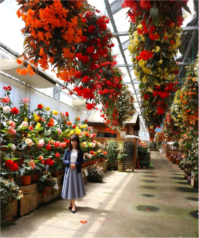 【栃木県】ベコニアが綺麗な花いちもんめ♡の画像_5