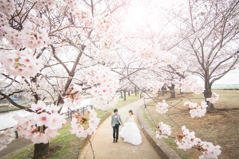 【桜ウェディング】桜満開の素敵なウェディの画像_5