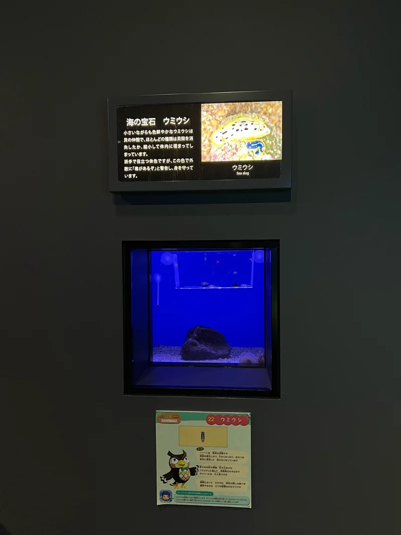【水族館】福岡県のマリンワールドに行っての画像_3