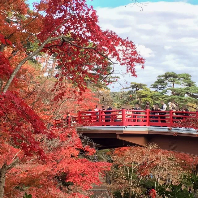 新潟観光　弥彦公園　弥彦公園もみじ谷　見どころ　弥彦公園トンネル　新潟ドライブ　新潟おすすめスポット