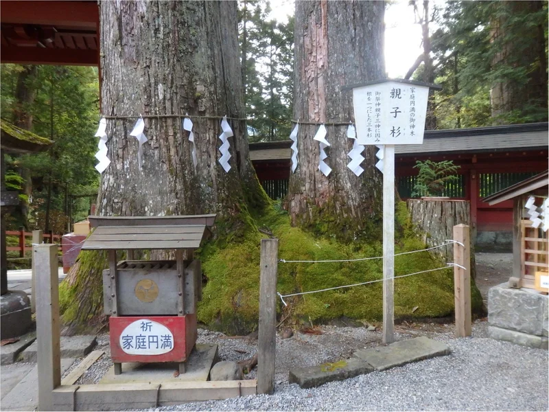 【知らなかった！】日本一楽しめる神社へ潜の画像_13