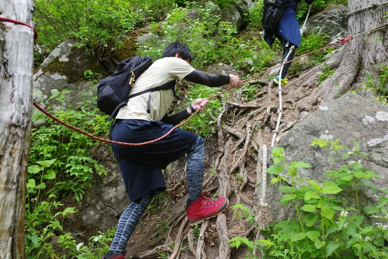 北海道藻岩山ハイキングの画像_5