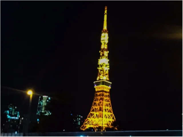 【知らなかった！！東京タワーの秘密】バレの画像_3