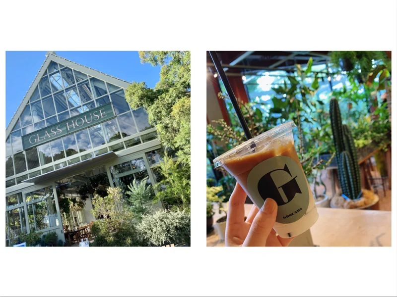 【神戸のお気に入りカフェ】素敵な緑に囲まれたリラックス空間