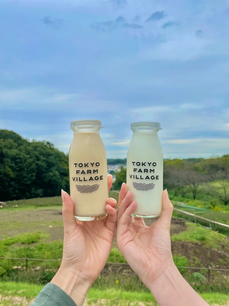 東京・八王子 磯沼ミルクファームにオープンした“TOKYO FARM VILLAGE”の東京牛乳
