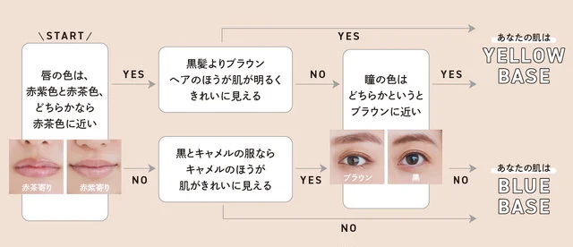 イエベ or ブルベ 肌タイプ診断