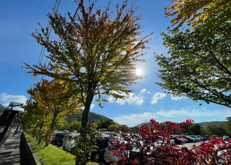 【北海道】スリル満点の貸切モーターボートの画像_7