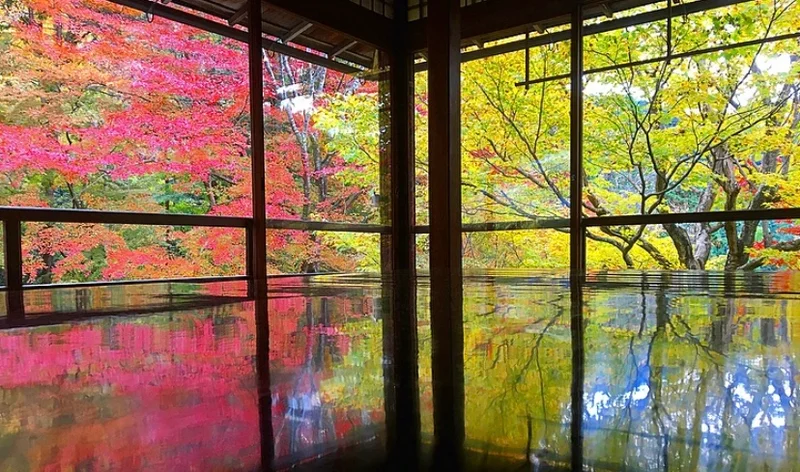 【女子旅におすすめ】京都行くなら紅葉！♡フォトジェニックな穴場スポット紹介６選♡