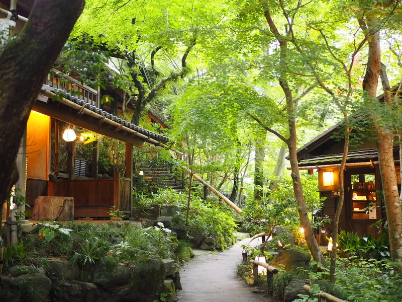 【関東日帰り旅】東京の大自然の中で味わうの画像_7