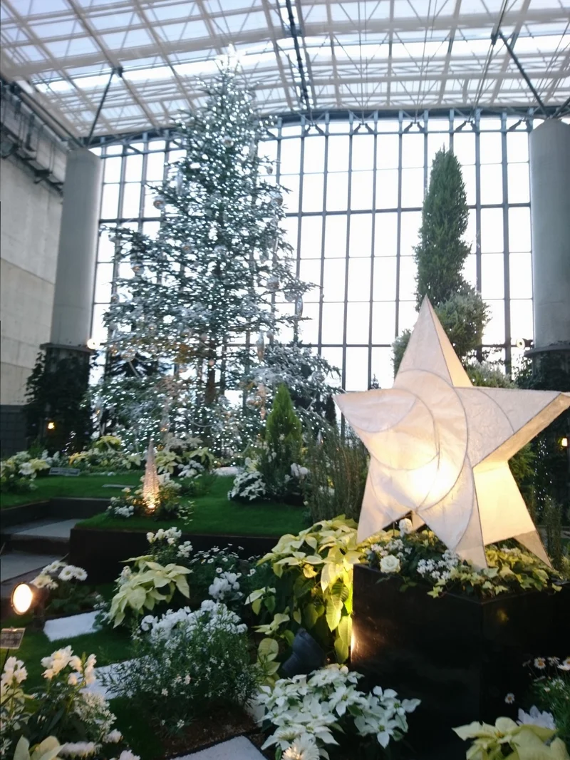 クリスマスシーズンに家族＆カップルにお勧め！植物と光に彩られた奇跡の植物館