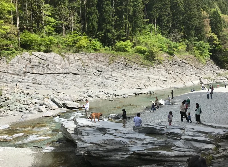 【女子旅におすすめ】徳島県に来たら外せなの画像_5