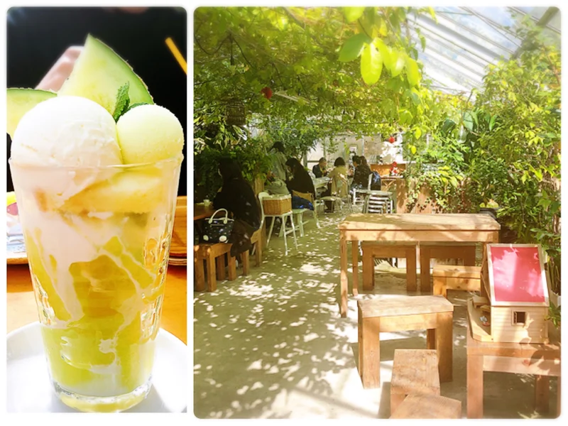 【#静岡】メロン農園直営❁緑に包まれたガーデンのようなカフェが魅力！甘〜いメロンをいただきました♩