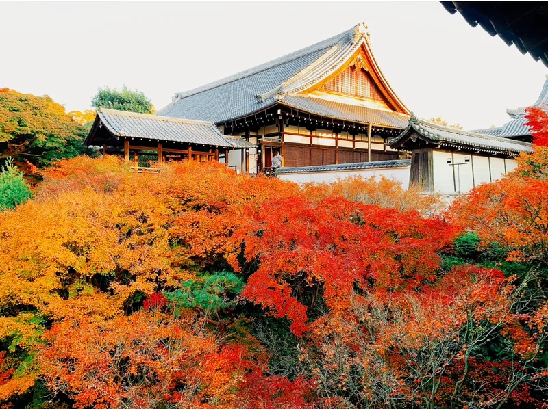 【永久保存版】京都の紅葉ベスト 3選の画像_2