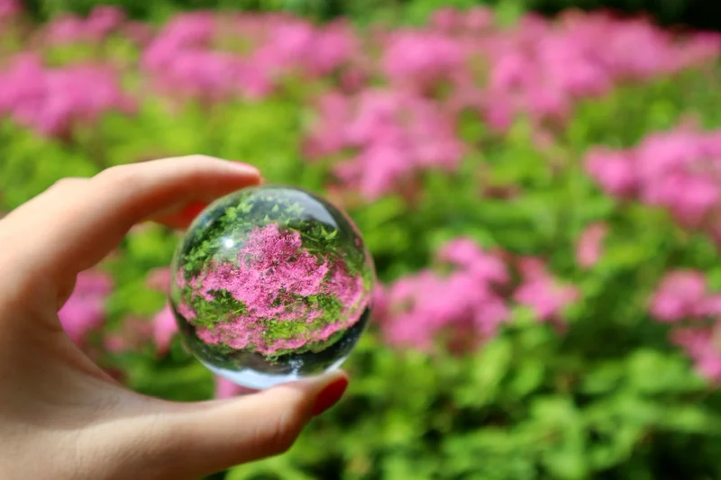 ピンク色の花がガラス玉にうつった写真