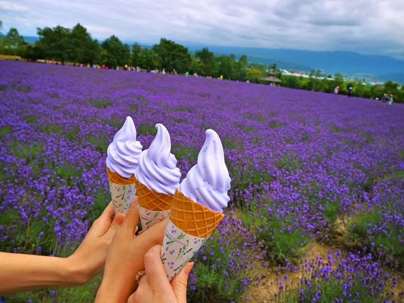 【北海道】夏休みに行きたい！富良野のラベの画像_4