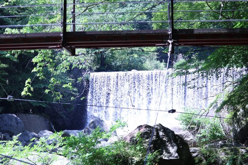 【箱根】自然と温泉とグルメを満喫する旅♨の画像_2