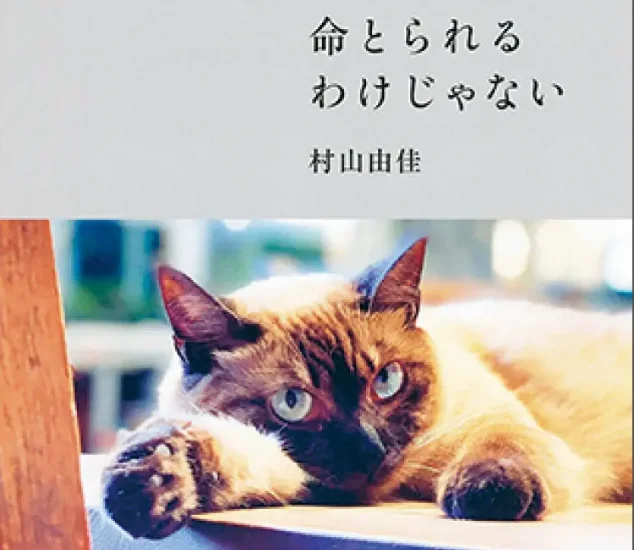 猫を愛するすべての人に贈るエッセイ『命とられるわけじゃない』【おすすめ本】