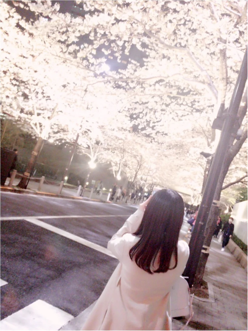夜桜はしごしました♡六本木〜千鳥ヶ淵の画像_1