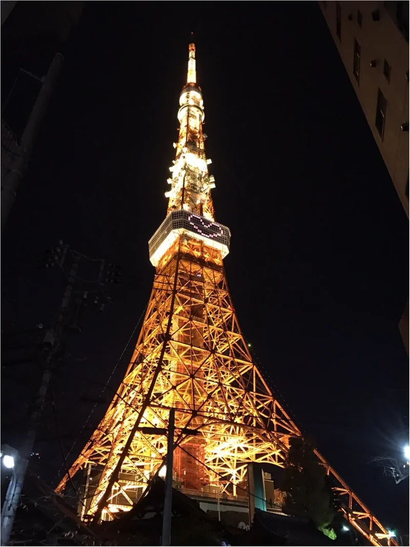 東京散歩～東京タワーのプロジェクションマの画像_2