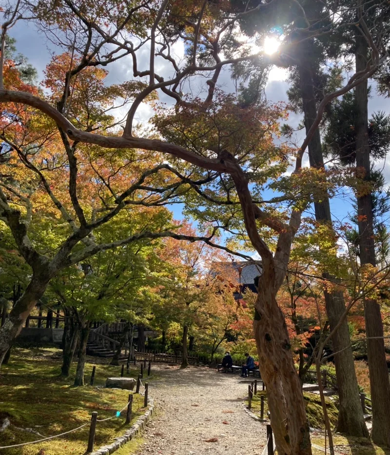 東福寺