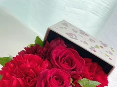 【野性爆弾くっきー！×HIBIYA-KADAN】母の日にオススメ！くっきー！と一緒に花のある暮らしを楽しもう!!