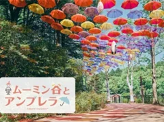 【埼玉】『ムーミンバレーパーク』は雨の日でも楽しい！ 約1200本のアンブレラスカイを満喫