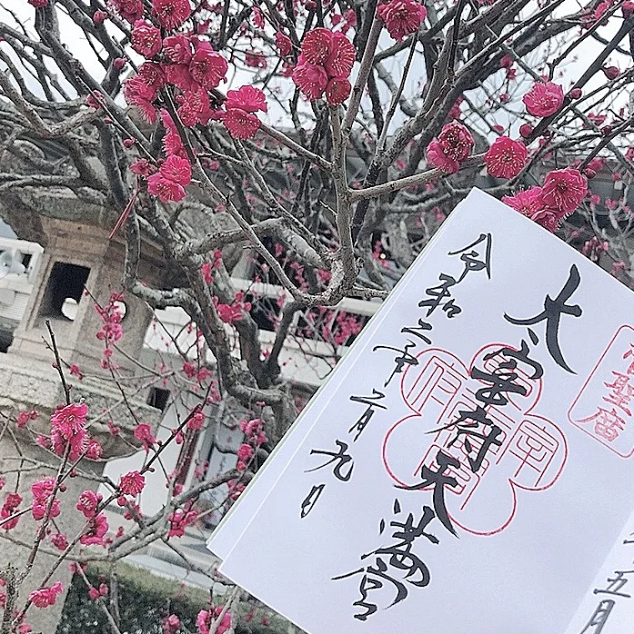 女子旅におすすめ 福岡旅行 第1弾 Moreインフルエンサーズブログ More