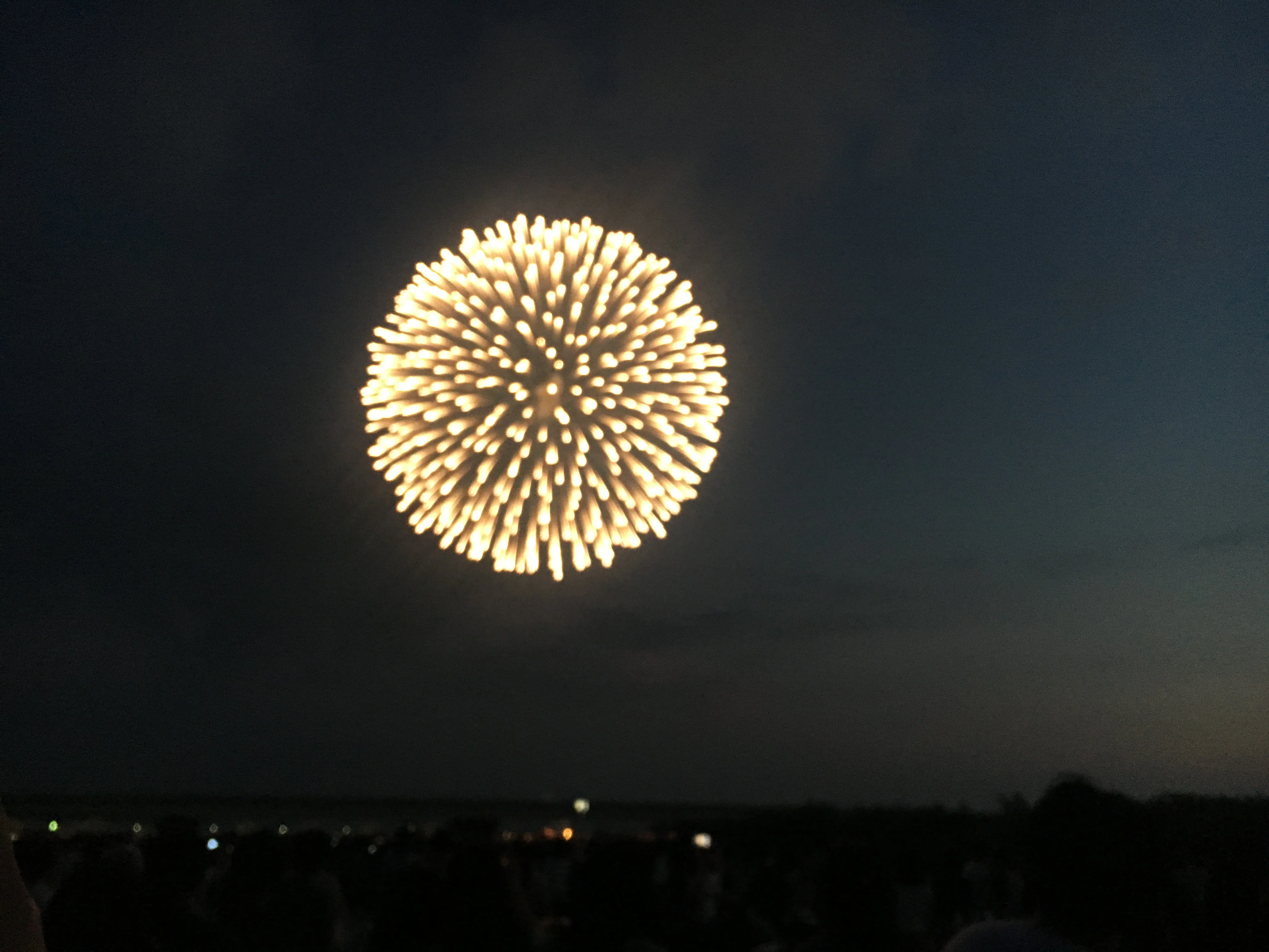 新潟県 日本三大花火 長岡花火大会 Moreインフルエンサーズブログ More