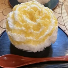 【#大阪】かき氷も大人気！大阪浪花家〜絶品の梅ミルク〜