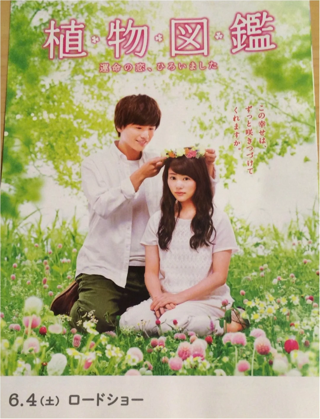 もう観た 大ヒット ロングラン上映決定 何度も泣ける 結婚したくなる 映画 植物図鑑 運命の恋 ひろいました Moreインフルエンサーズブログ Daily More