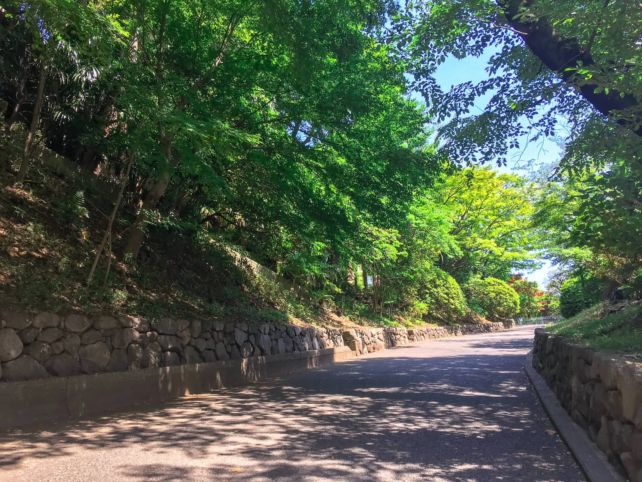 穴場スポット ロケ地としても大人気 鳩山会館でリラックスなレトロ時間を Moreインフルエンサーズブログ Daily More