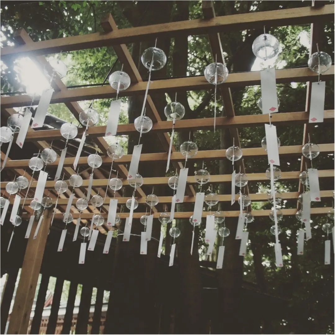《埼玉・川越》【〜9/10まで♡】氷川神社の縁結び風鈴がフォトジェニックすぎる❤️_4
