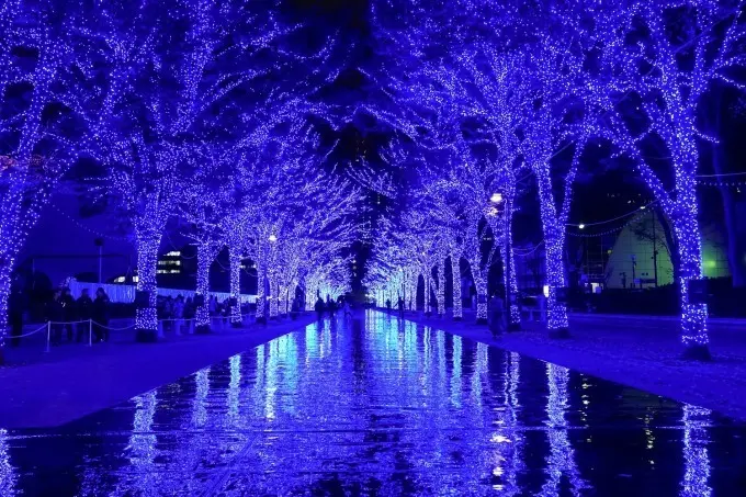 東京のおすすめイルミネーション2019 photoGallery_1_7