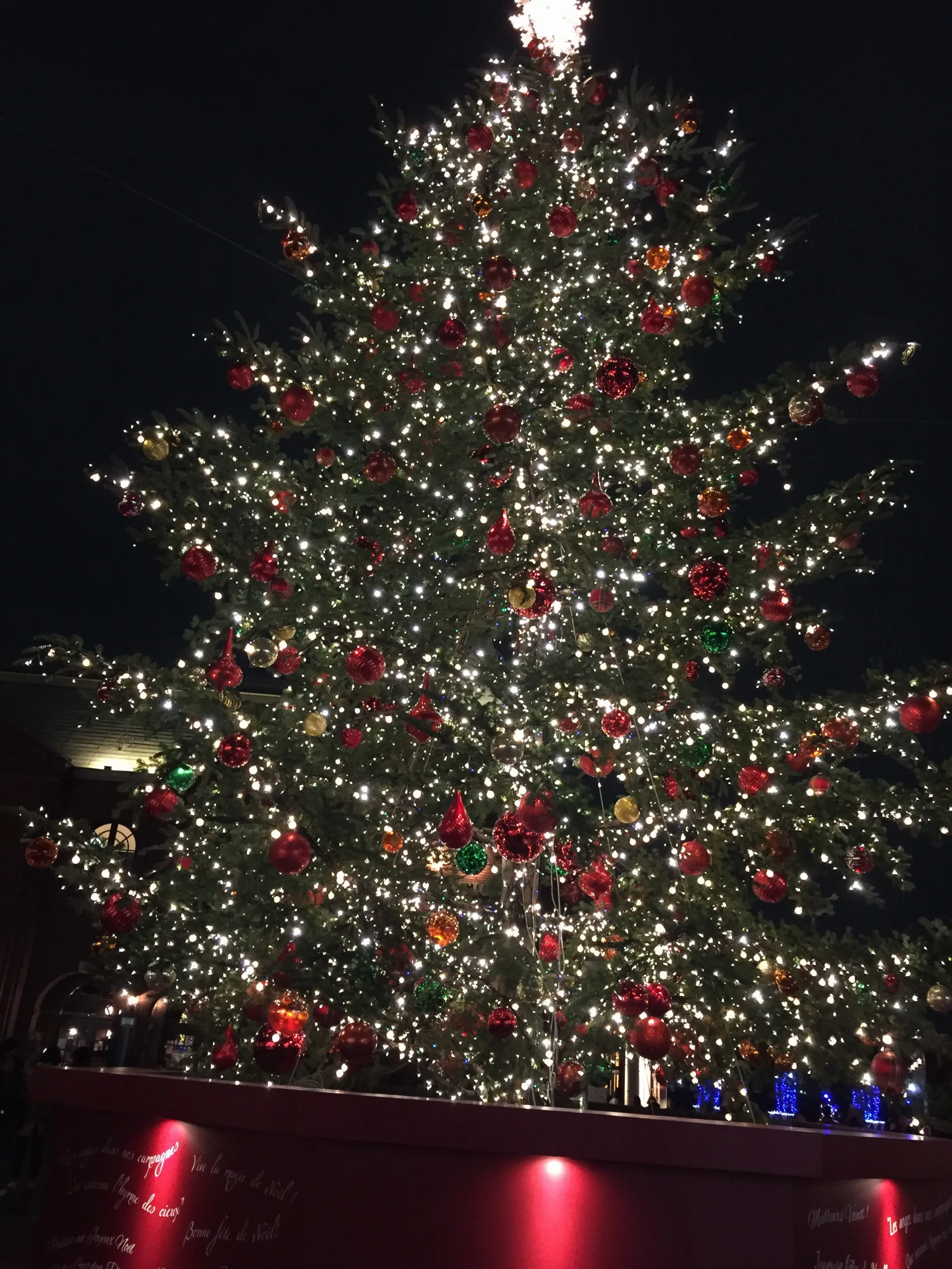 ♡25日クリスマスあなたはどこへ行く?都内のおすすめイルミネーション・クリスマスマーケット♡_5