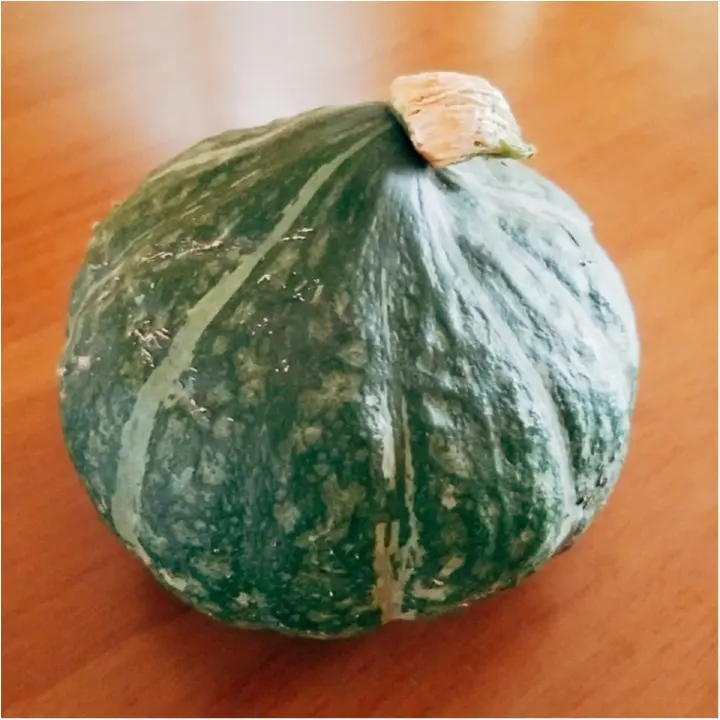 野菜情報!1日に野菜、どれくらい食べていますか?【#モアチャレ 農業女子】_3