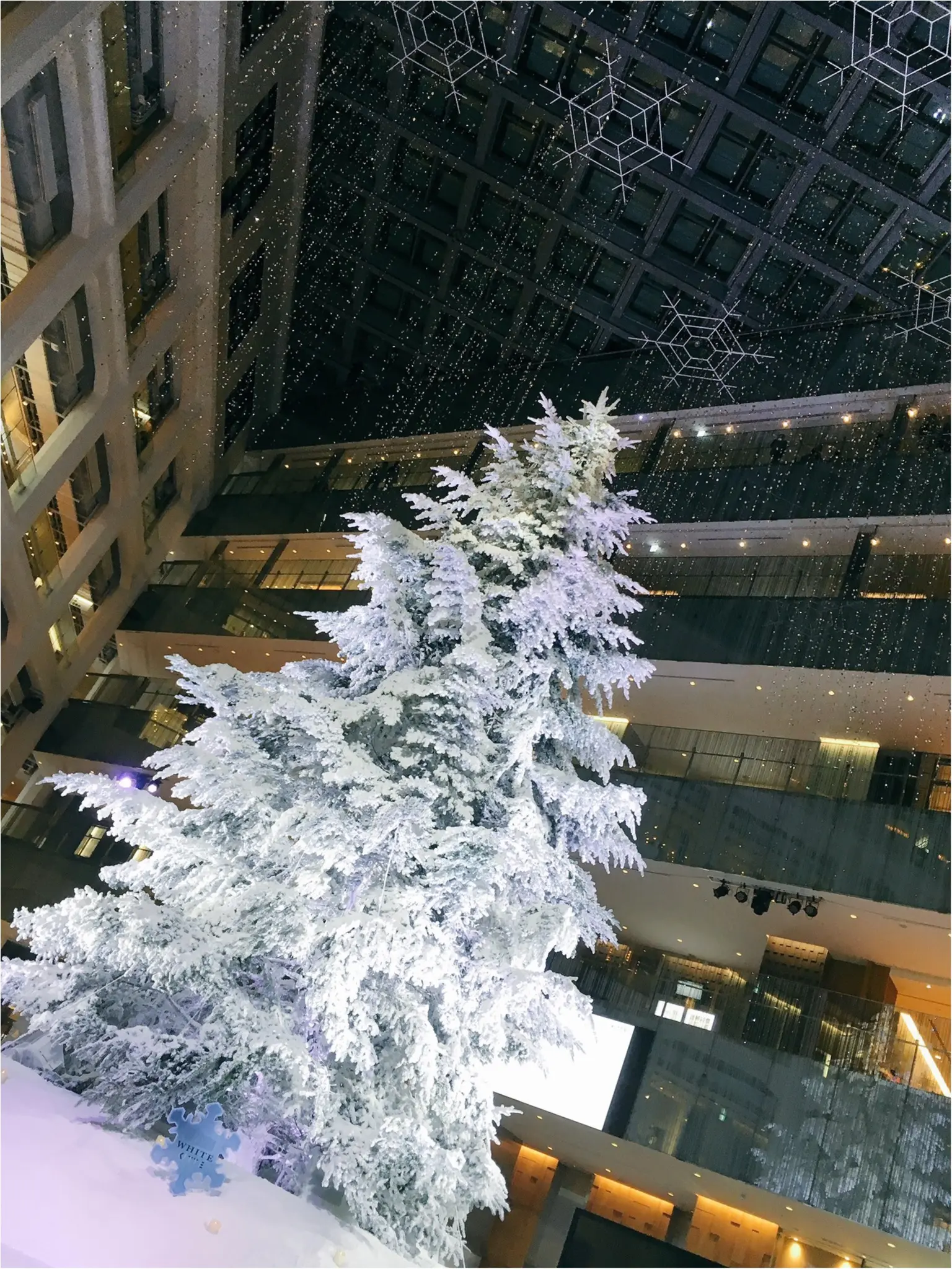 『KITTE』屋内に広がる白銀の世界…!日本最大級、本物のモミの木のクリスマスツリーが今年も点灯(*´ ˘ `*)♡_3