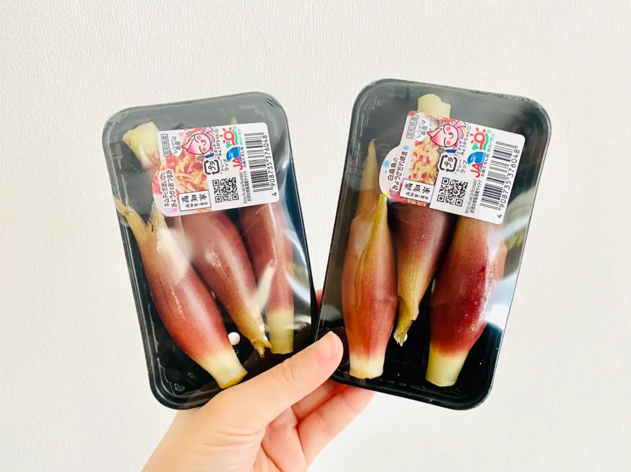 【作り置きおかず】お弁当に大活躍!1つの食材をアレンジして4品★使い切りレシピをご紹介♡〜第54弾〜_2