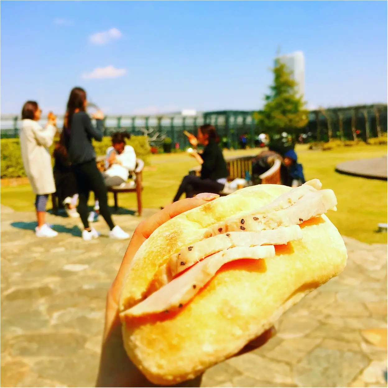 身近にあるのに気づかない?晴れた日にぴったりの意外な【*ランチスポット*】とは✨✨ _4