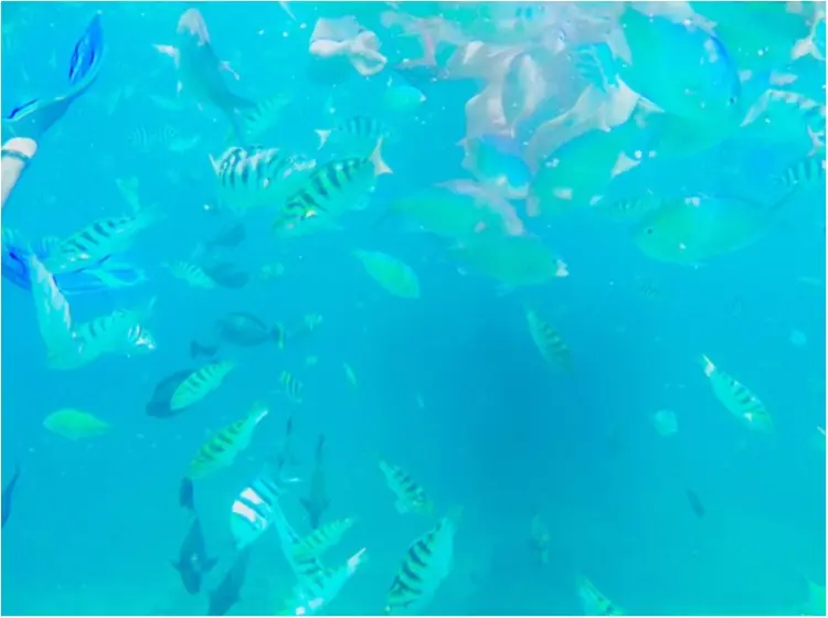 【TRIP】旅好き必見!プロトラベラーの間でも話題。「DREAM BEACH」☆ 夢の海に行ってきました。 _6