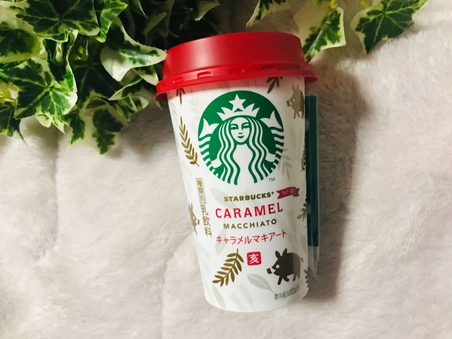 【スタバ】新年にぴったり!チルドカップシリーズ初!“亥”の《干支カップ》が登場♡_1