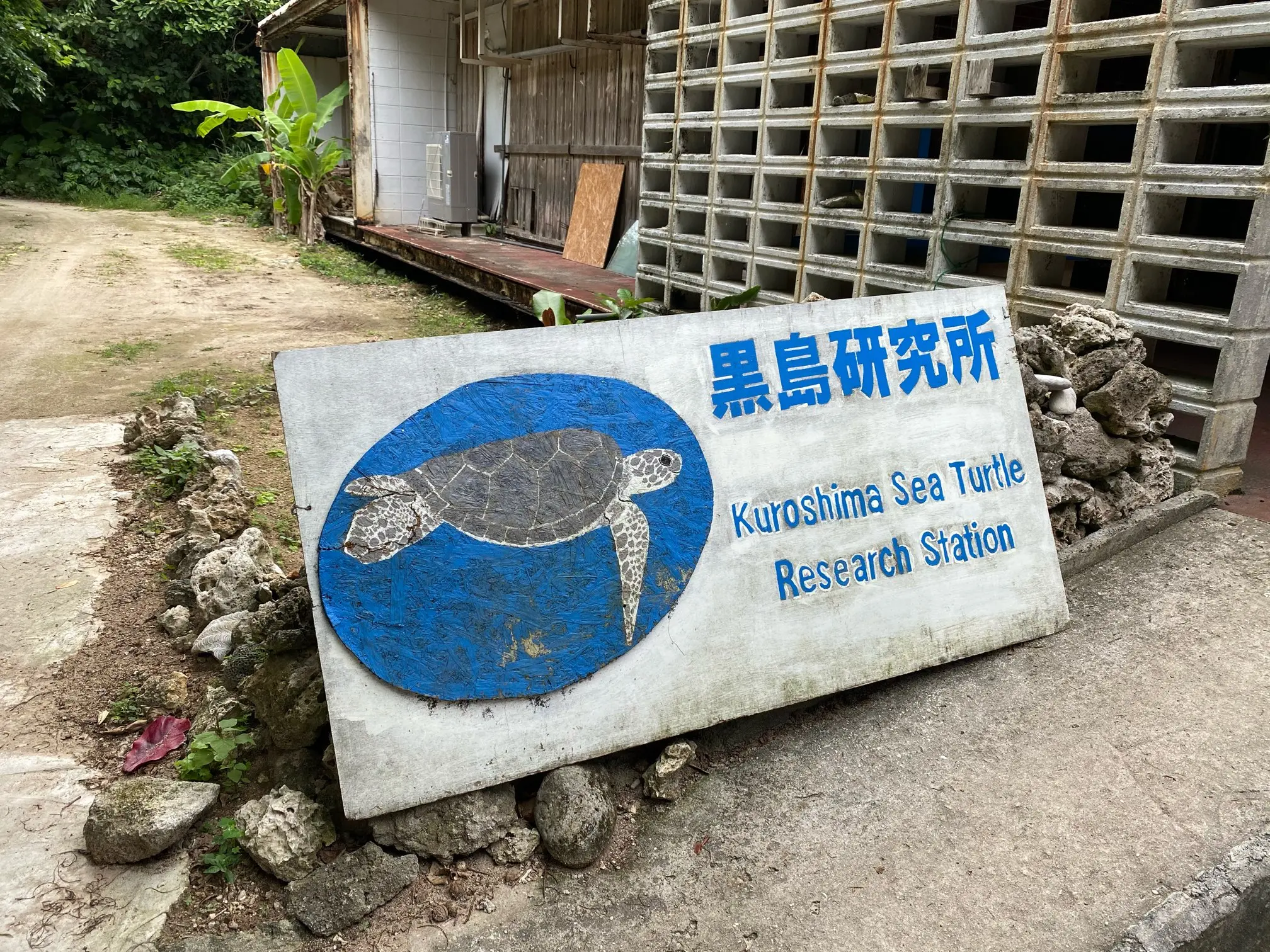 【沖縄】女一人で何もしない旅に行ってみた_8