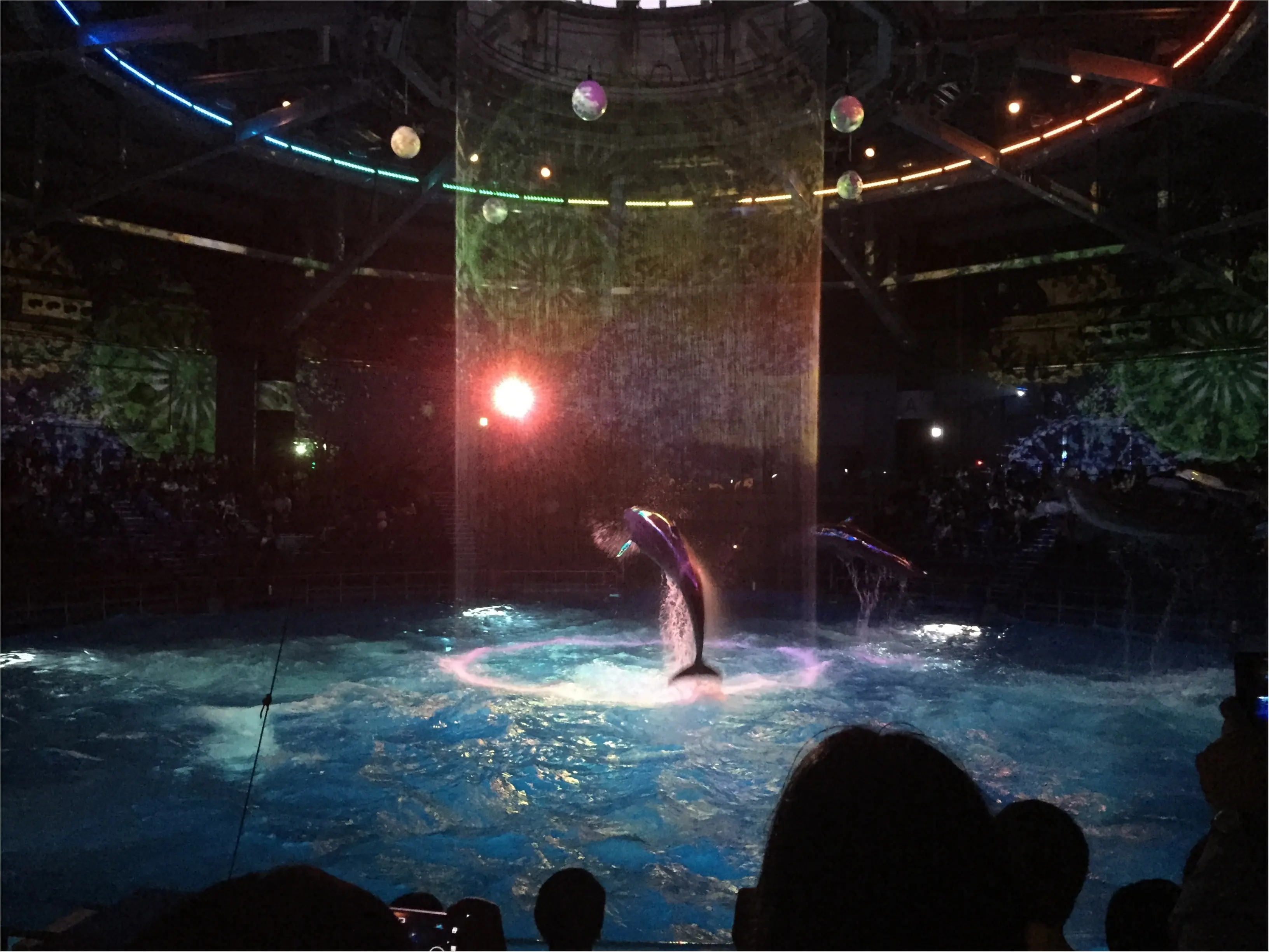 昼と夜でイルカショーが変わる!?光・音・映像と海の生き物のコラボレーション ✨《*アクアパーク品川*》の魅力☆★ _18