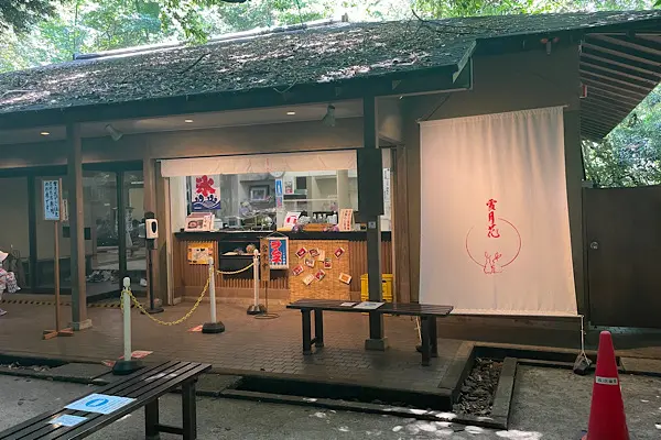 都会のオアシス!【等々力渓谷】で渓谷さんぽ_9