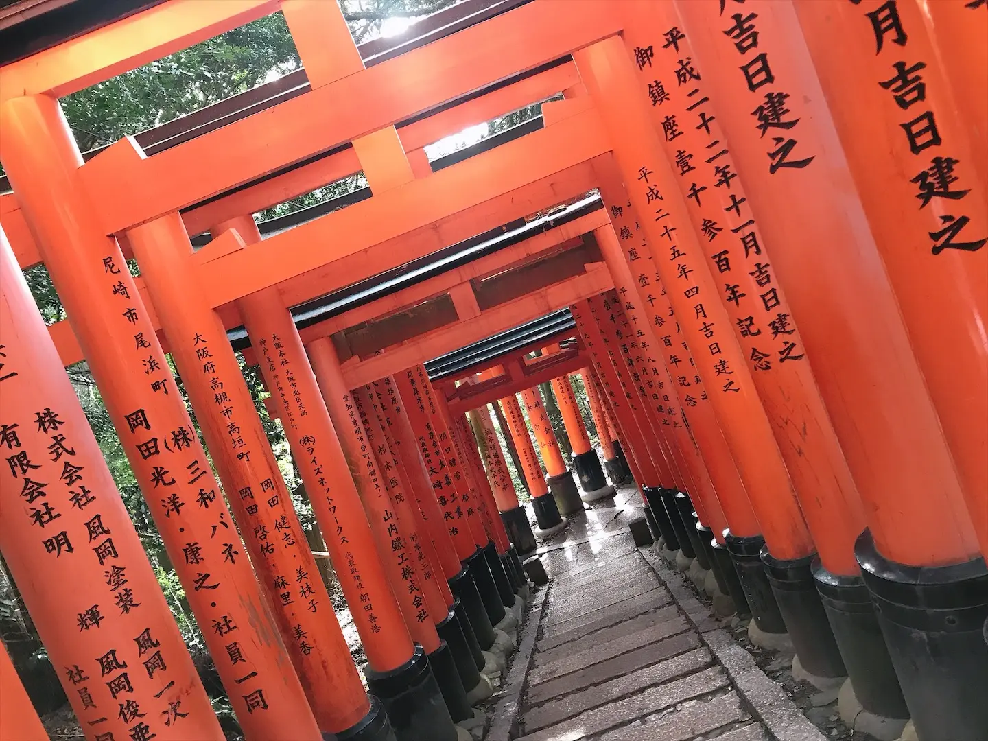 今期もほーたんを宜しくお願いいたします٩(๑❛ᴗ❛๑)۶_7