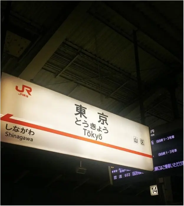 《帰省土産にも便利♡》東京駅で買えるスイーツが可愛いっ♡_1