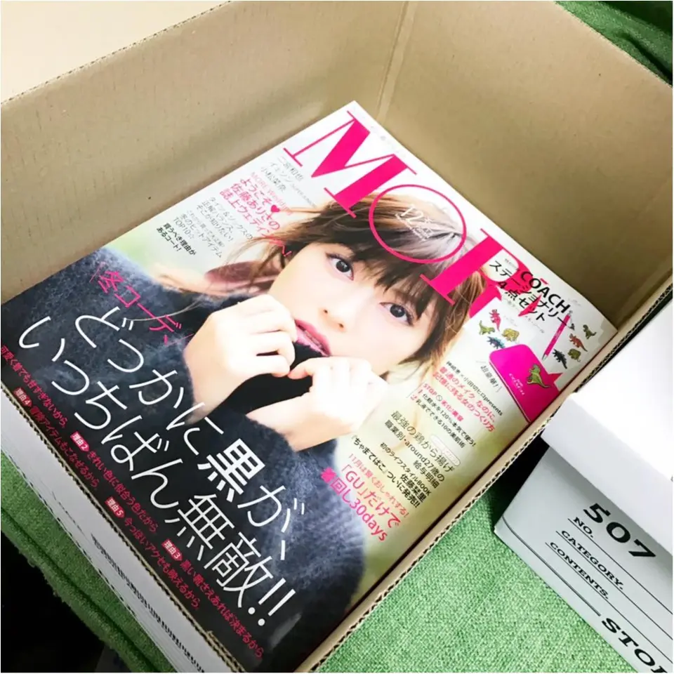 【100円ショップ購入品】ワッツの100円ストレージボックスがおしゃれで使いやすい!!_5