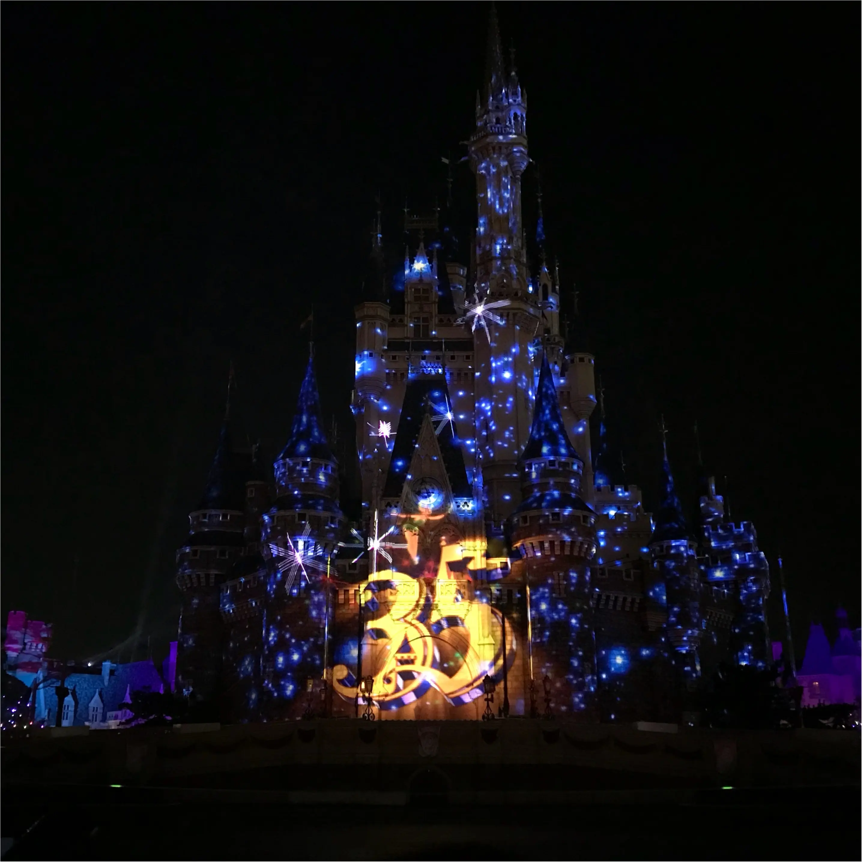 【Celebrate!Tokyo Disneyland】に当選したら絶対に知っておくべきポイントとは❤︎_8