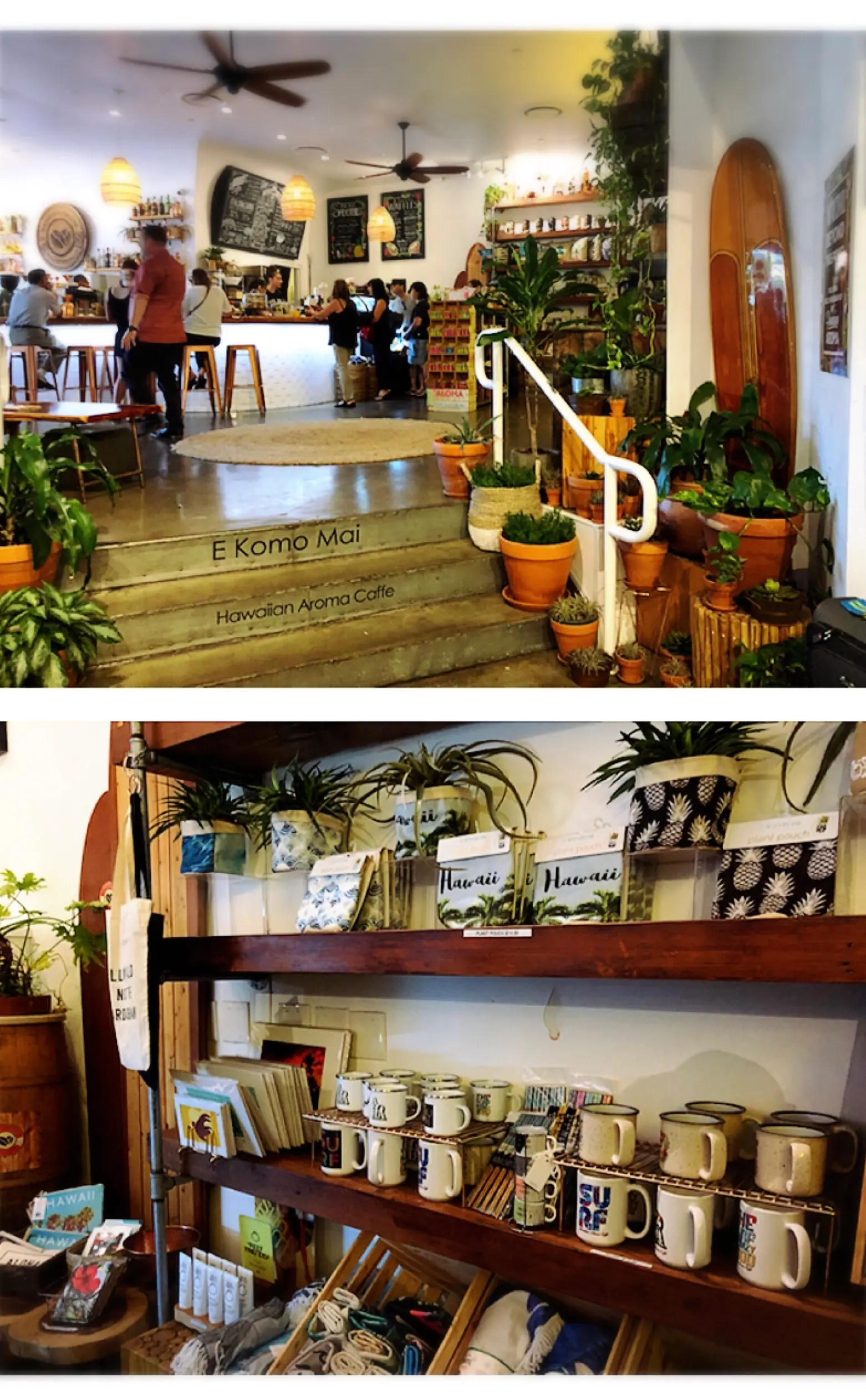 【#Hawaii】#2 写真で旅行気分を(๑>◡<๑) アクセス◎クーポンで15%オフが嬉しい美味しくてフォトジェニックなCAFE☕︎_3