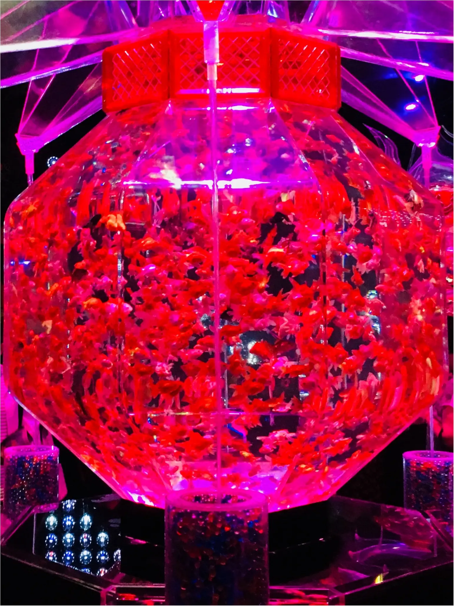 COREDO室町で開催中【アートアクアリウム2018】で夏を感じてきました♡_1