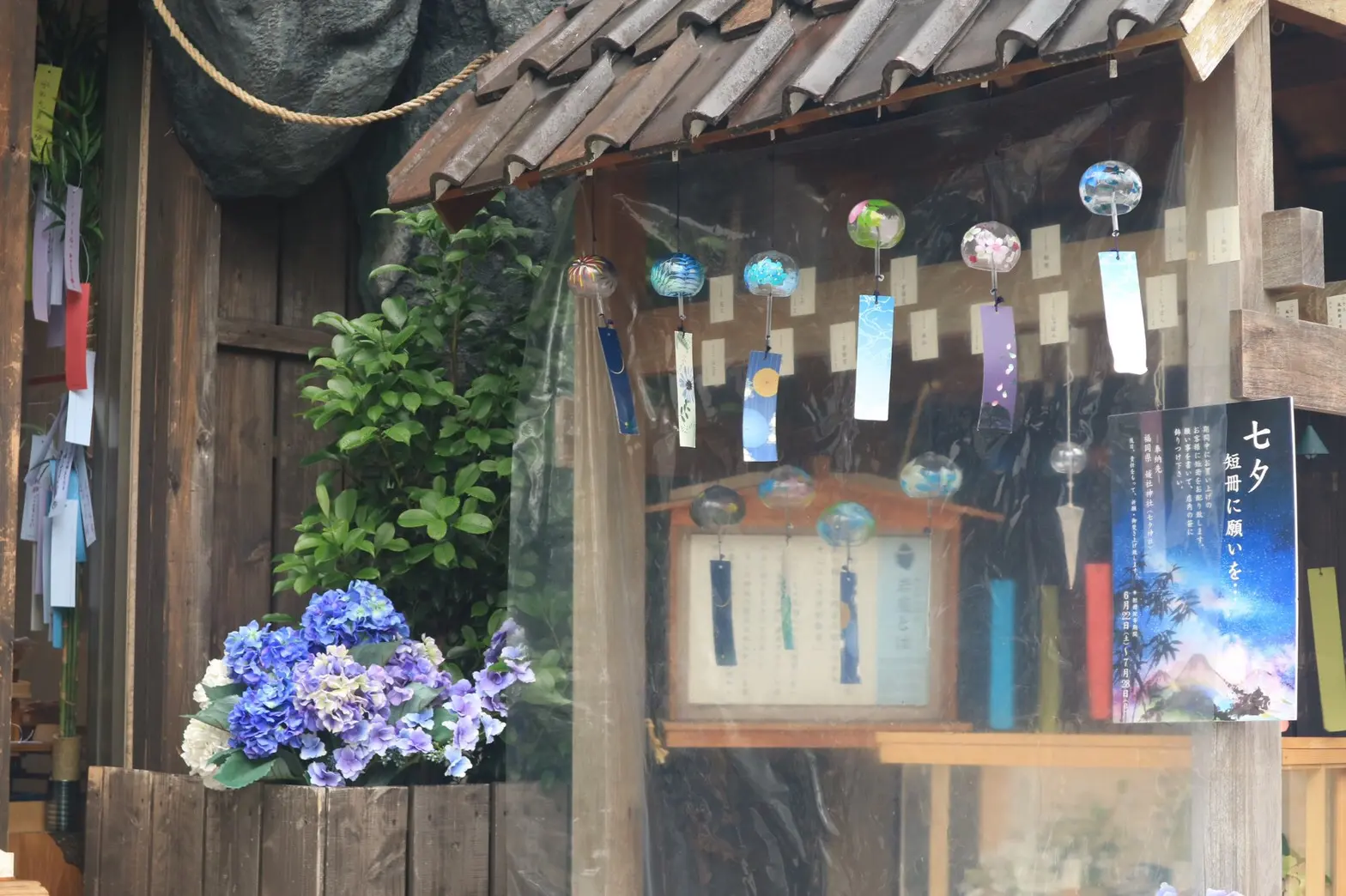夏着物で鎌倉女子旅♡ 紫陽花がとっても綺麗でした♡_21